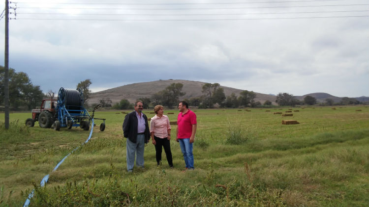 kalogirou adamidis mitropoli