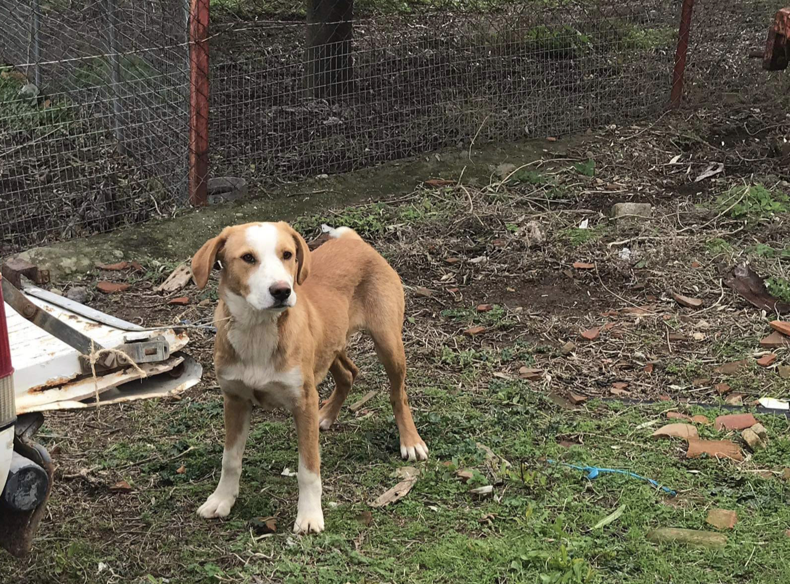 E597B269 7992 4967 B8AE EDFFE9BC59A2