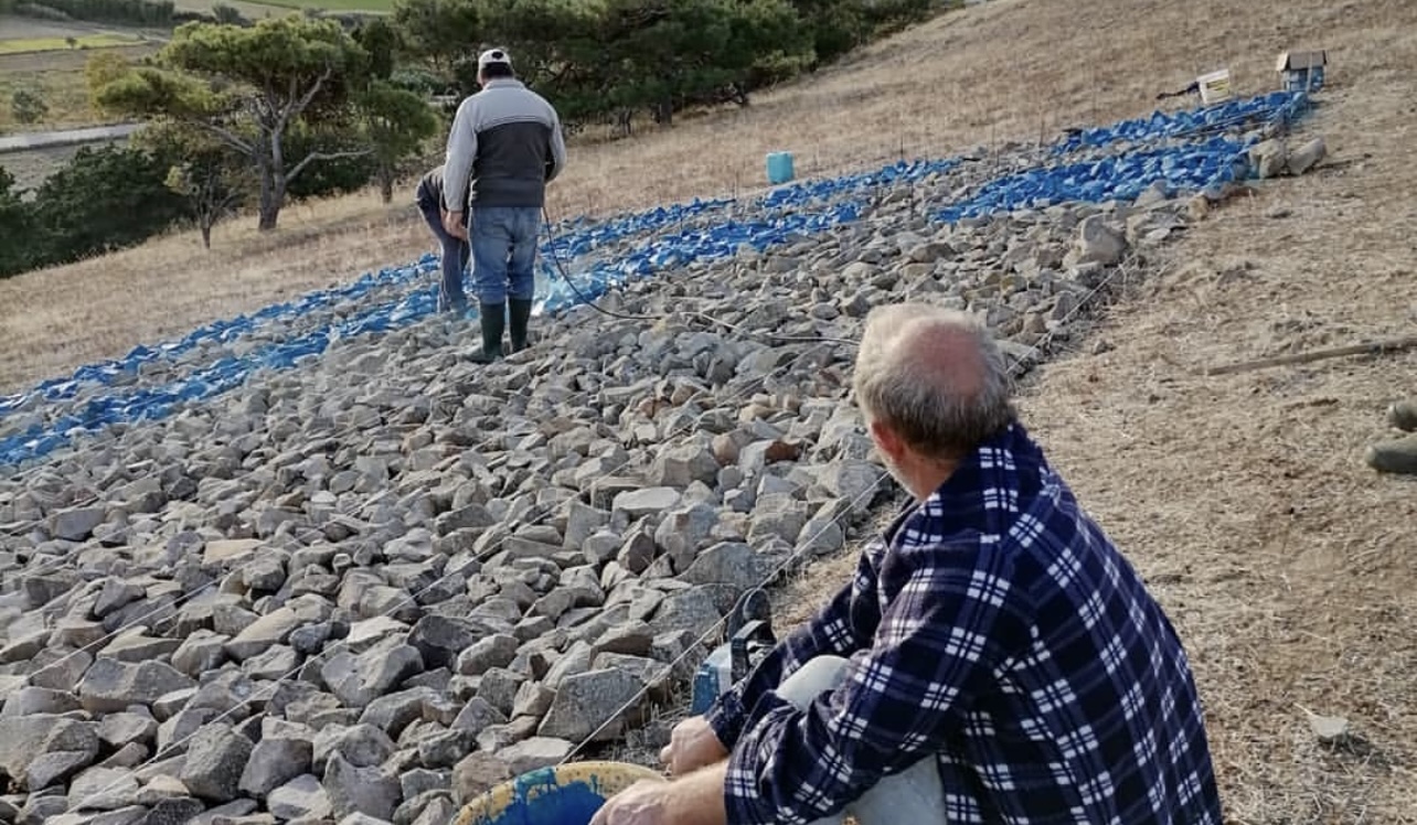 F88FD74E E85C 4337 85E1 EE5415EDE817