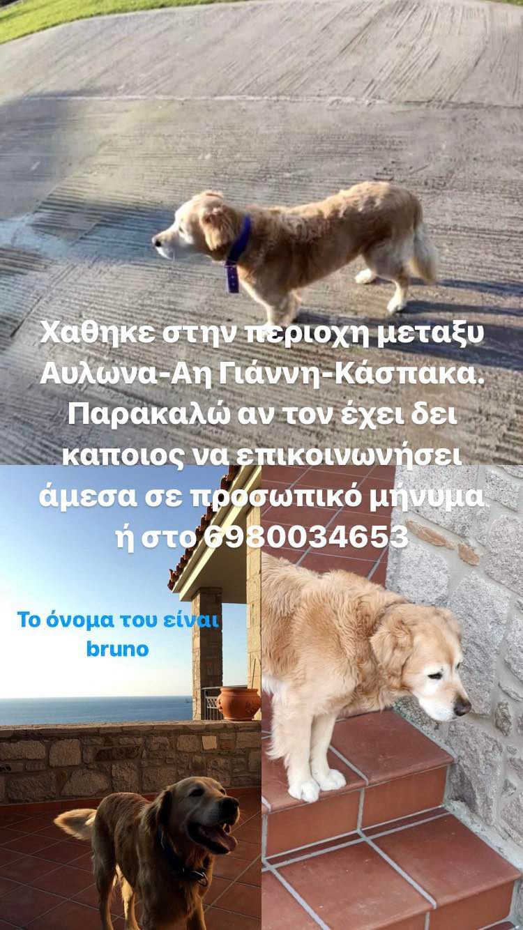 FAA26C76 AF77 4C63 A0C9 FC9B7937BF71