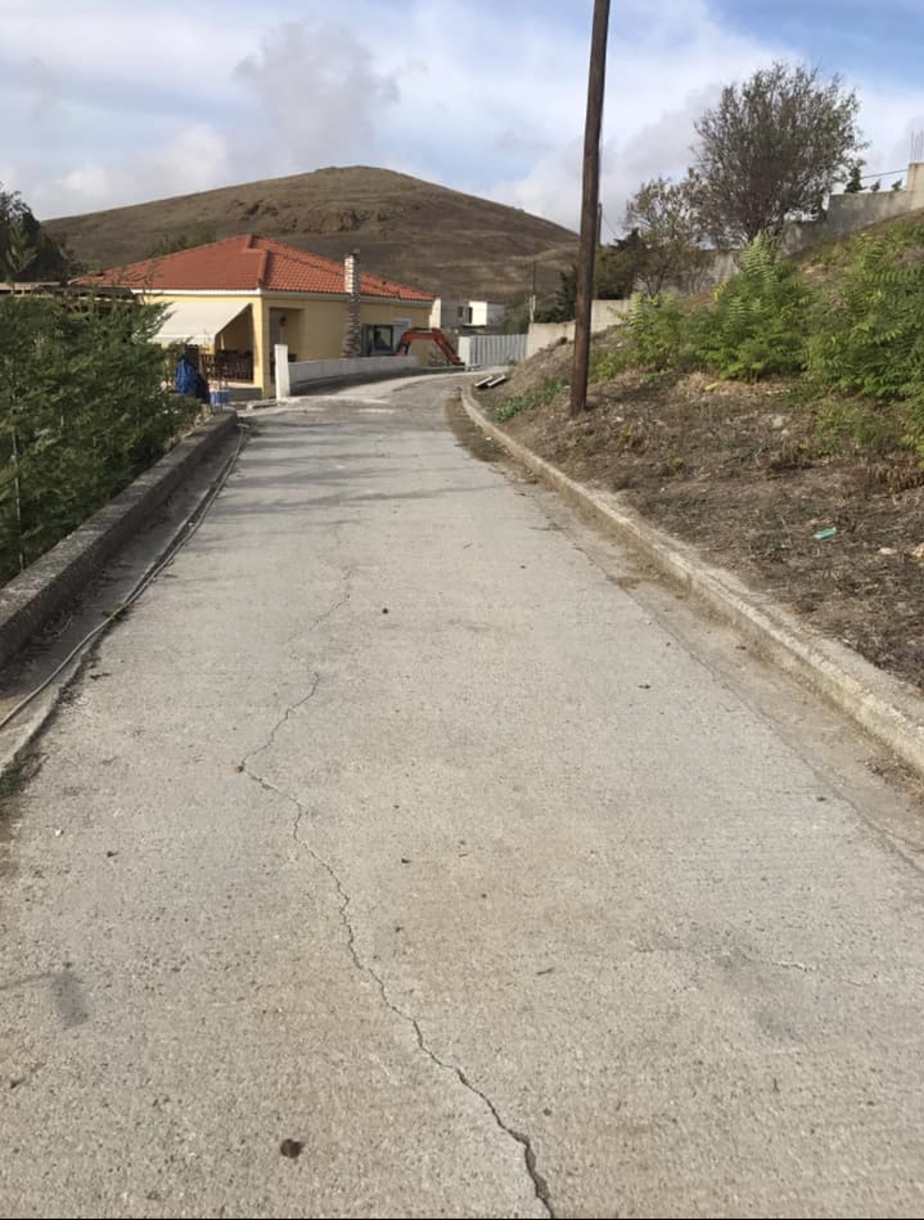 IMG 1719