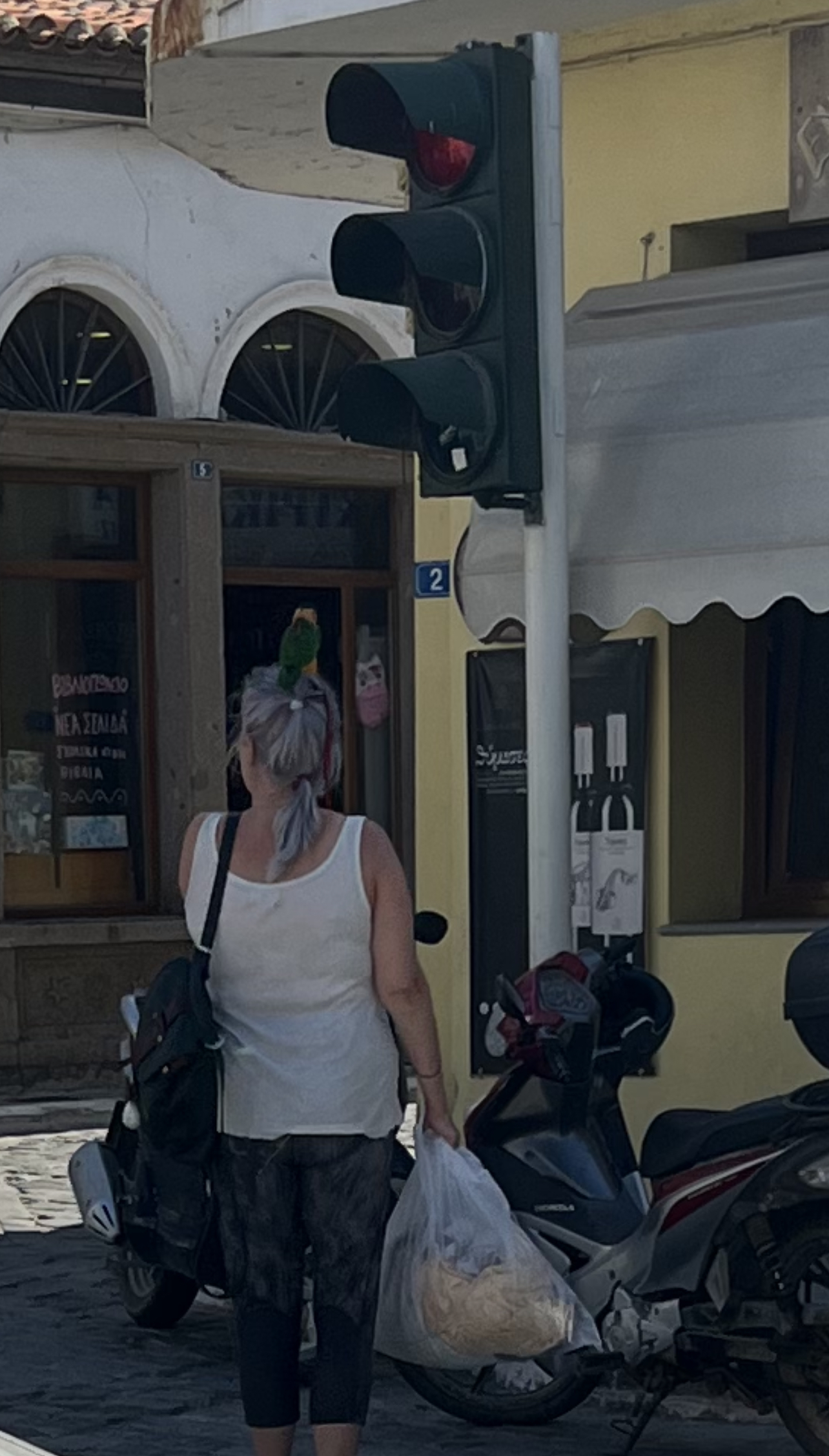 IMG 2525