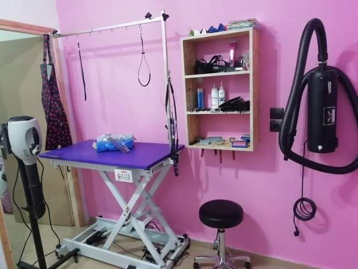 alegrito pet shop grooming limnos 2