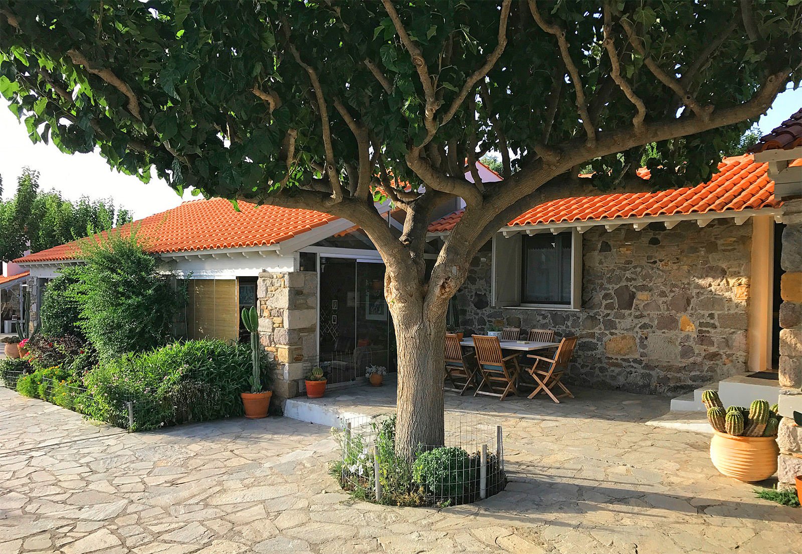 OLON Estate Lemnos 5