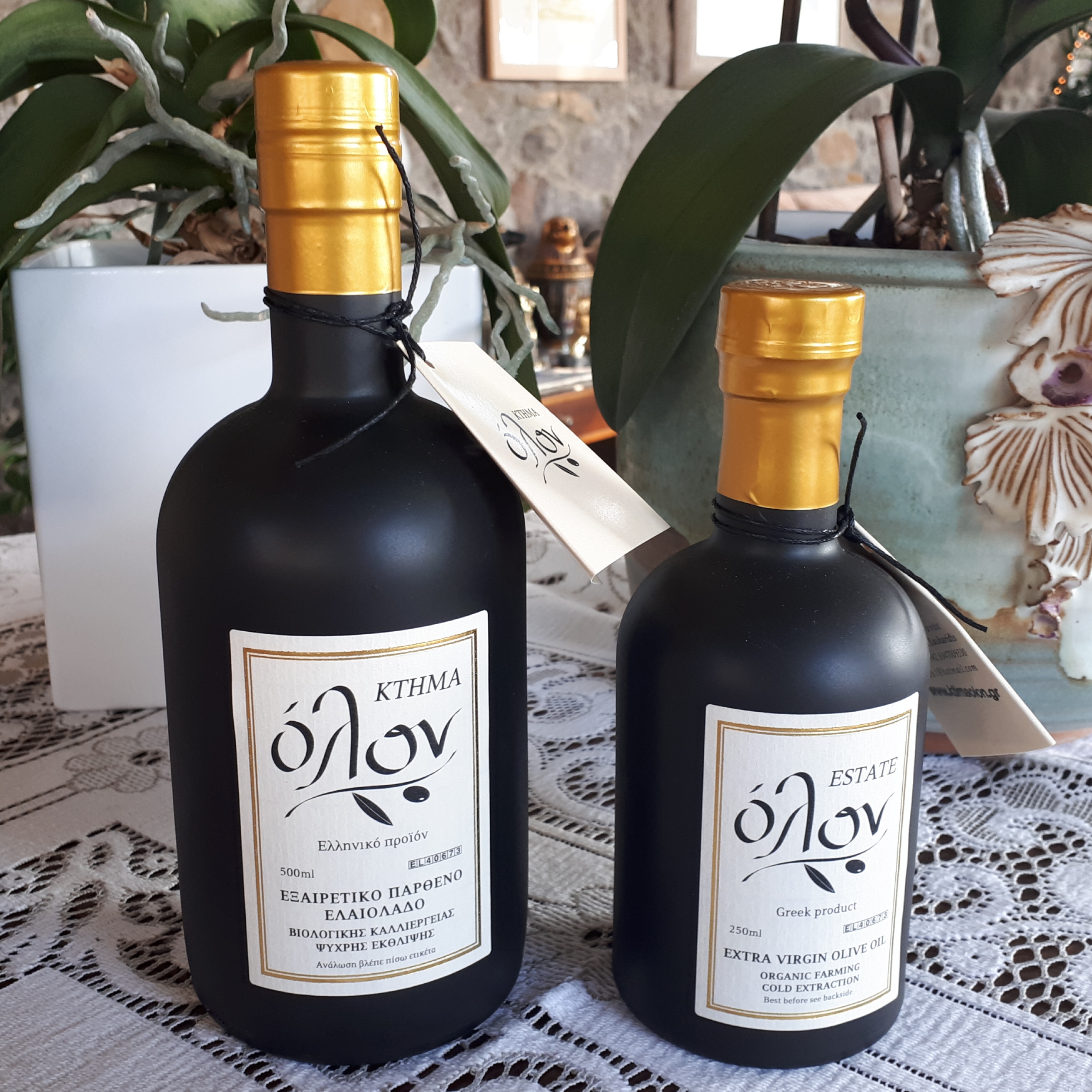 olive oil ktima olon lemnos