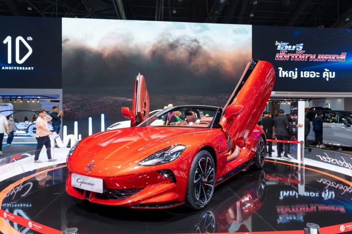 mg motor 4859