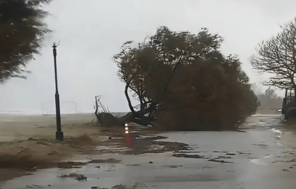 paralia larisa thalassa 2 12 2478