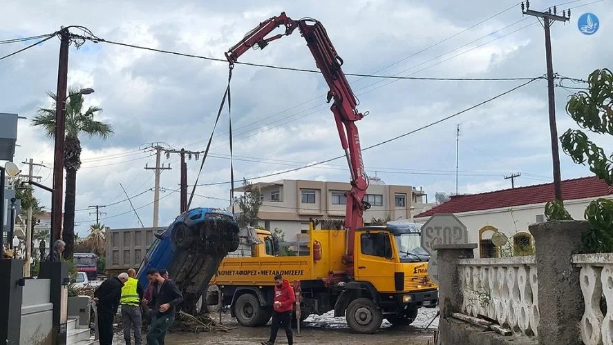 rodos plimmires 2 12 24 115454