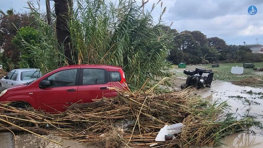 rodos plimmires 2 12 24 155454