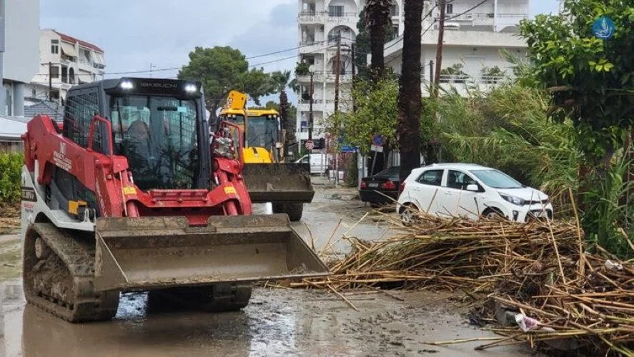 rodos plimmires 2 12 24 1878