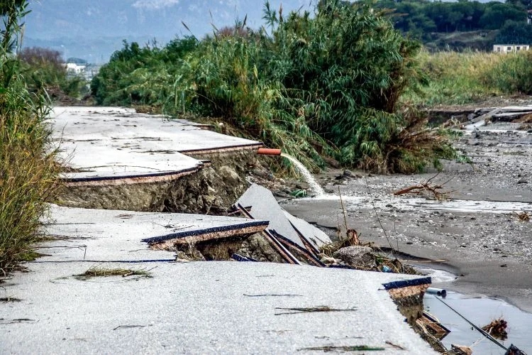 rodos plimmires 2 12 24 1 078