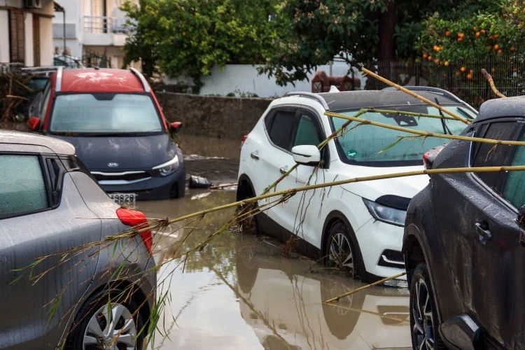 rodos plimmires 2 12 24 6 078
