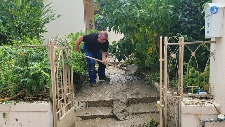 rodos plimmires 2 12 24 84545