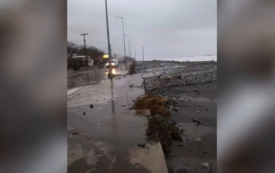 thalassa larisa 2 12 2478787