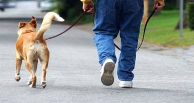 &Delta;ή&mu;&omicron;&sigmaf; &Lambda;ή&mu;&nu;&omicron;&upsilon;: &laquo;&Alpha;&nu;&epsilon;&xi;έ&lambda;&epsilon;&gamma;&kappa;&tau;&eta;&sigmaf; &rho;ύ&pi;&alpha;&nu;&sigma;&eta;&sigmaf; &tau;&omega;&nu; &kappa;&omicron;&iota;&nu;ό&chi;&rho;&eta;&sigma;&tau;&omega;&nu; &chi;ώ&rho;&omega;&nu; &alpha;&pi;ό &tau;&alpha; &pi;&epsilon;&rho;&iota;&tau;&tau;ώ&mu;&alpha;&tau;&alpha; &kappa;&alpha;&tau;&omicron;&iota;&kappa;ί&delta;&iota;&omega;&nu; &zeta;ώ&omega;&nu;&raquo;