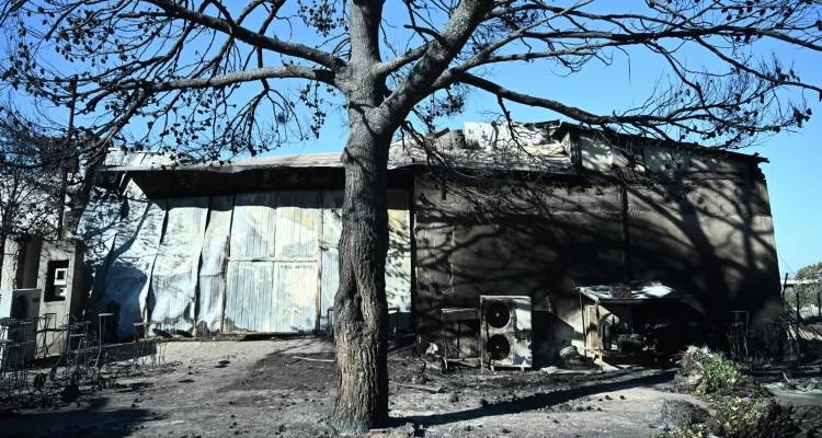 &laquo;&Delta;&epsilon;&nu; &kappa;&alpha;&tau;&alpha;&lambda;&alpha;&beta;&alpha;ί&nu;&omega; &pi;ώ&sigmaf; &delta;&epsilon;&nu; έ&phi;&upsilon;&gamma;&epsilon;&raquo;, &lambda;έ&epsilon;&iota; &omicron; &iota;&delta;&iota;&omicron;&kappa;&tau;ή&tau;&eta;&sigmaf; &tau;&eta;&sigmaf; &epsilon;&pi;&iota;&chi;&epsilon;ί&rho;&eta;&sigma;&eta;&sigmaf; ό&pi;&omicron;&upsilon; &beta;&rho;έ&theta;&eta;&kappa;&epsilon; &alpha;&pi;&alpha;&nu;&theta;&rho;&alpha;&kappa;&omega;&mu;έ&nu;&eta; &eta; &gamma;&upsilon;&nu;&alpha;ί&kappa;&alpha;