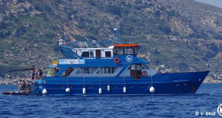 Στη Λήμνο το «Τρίτων» | Ερευνητική αποστολή με στόχο την ανάδειξη και προστασία της βιοποικιλότητας