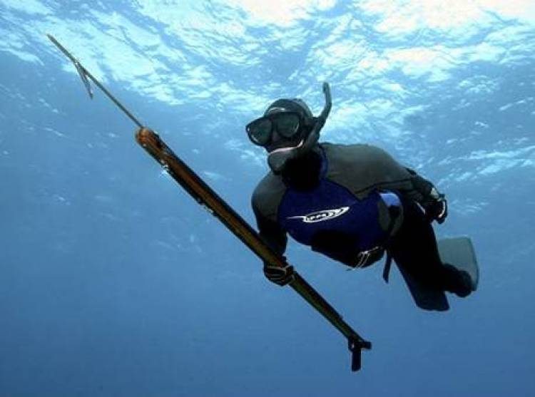 Κοινή ανακοίνωση περιβαλλοντικών οργανώσεων κατά των προωθούμενων ρυθμίσεων για την ερασιτεχνική αλιεία