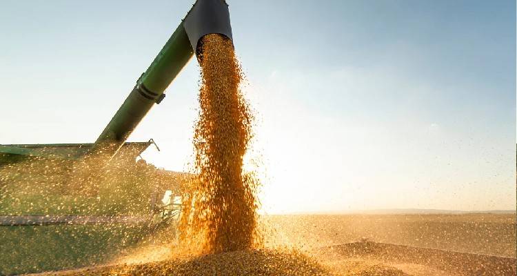 &Sigma;&tau;&omicron; ί&delta;&iota;&omicron; &tau;&rho;&alpha;&pi;έ&zeta;&iota; &Omicron;&upsilon;&kappa;&rho;&alpha;&nu;ί&alpha;-&Rho;&omega;&sigma;ί&alpha;: &Tau;&alpha; &laquo;5&raquo; &beta;&alpha;&sigma;&iota;&kappa;ά &sigma;&eta;&mu;&epsilon;ί&alpha; &tau;&eta;&sigmaf; &sigma;&upsilon;&mu;&phi;&omega;&nu;ί&alpha;&sigmaf; &gamma;&iota;&alpha; &tau;&alpha; &sigma;&iota;&tau;&eta;&rho;ά | &Omicron; &rho;ό&lambda;&omicron;&sigmaf; &tau;&eta;&sigmaf; &Tau;&omicron;&upsilon;&rho;&kappa;ί&alpha;&sigmaf;