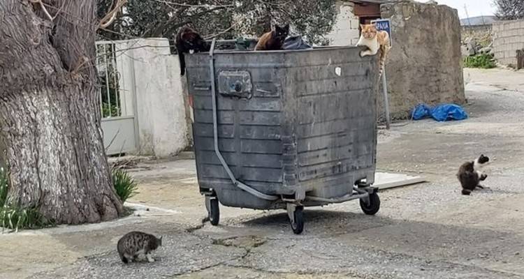 «Καλοί οι υπόγειοι κάδοι στη Μύρινα. Στα χωριά όμως τι γίνεται;»