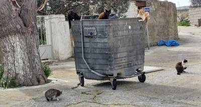 &laquo;&Kappa;&alpha;&lambda;&omicron;ί &omicron;&iota; &upsilon;&pi;ό&gamma;&epsilon;&iota;&omicron;&iota; &kappa;ά&delta;&omicron;&iota; &sigma;&tau;&eta; &Mu;ύ&rho;&iota;&nu;&alpha;. &Sigma;&tau;&alpha; &chi;&omega;&rho;&iota;ά ό&mu;&omega;&sigmaf; &tau;&iota; &gamma;ί&nu;&epsilon;&tau;&alpha;&iota;;&raquo;