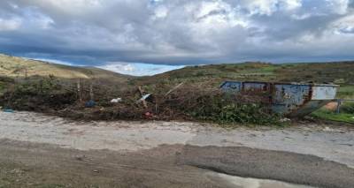 &Sigma;&alpha;&rho;&delta;έ&sigmaf;: &Sigma;&omega;&rho;&epsilon;&upsilon;&mu;έ&nu;&alpha; &kappa;&lambda;&alpha;&delta;&iota;ά &kappa;&alpha;&iota; &sigma;&kappa;&omicron;&upsilon;&pi;ί&delta;&iota;&alpha; &epsilon;&kappa;&tau;ό&sigmaf; &kappa;ά&delta;&omicron;&upsilon; &kappa;&iota; &omicron; &kappa;ά&delta;&omicron;&sigmaf; &delta;ί&pi;&lambda;&alpha; ά&delta;&epsilon;&iota;&omicron;&sigmaf;