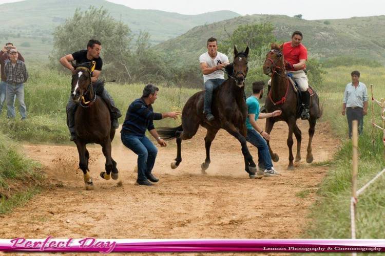 Οι νικητές του πατροπαράδοτου εθίμου των ιπποδρομιών στην Καλλιόπη (photos)