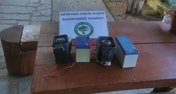 &Pi;&alpha;&rho;ά&nu;&omicron;&mu;&eta; &theta;ή&rho;&alpha;: &Epsilon;&nu;&tau;&omicron;&pi;ί&sigma;&tau;&eta;&kappa;&alpha;&nu; &eta;&chi;&omicron;&mu;&iota;&mu;&eta;&tau;&iota;&kappa;έ&sigmaf; &sigma;&upsilon;&sigma;&kappa;&epsilon;&upsilon;έ&sigmaf; &gamma;&iota;&alpha; &omicron;&rho;&tau;ύ&kappa;&iota;&alpha; &sigma;&tau;&eta; &Lambda;ή&mu;&nu;&omicron;