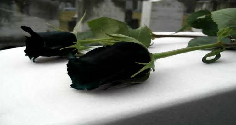 &Tau;&eta;&nu; &Kappa;&upsilon;&rho;&iota;&alpha;&kappa;ή &tau;&omicron; &tau;&epsilon;&lambda;&epsilon;&upsilon;&tau;&alpha;ί&omicron; &alpha;&nu;&tau;ί&omicron; &sigma;&tau;&omicron;&nu; &Mu;&pi;ά&mu;&pi;&eta; &Phi;&alpha;&tau;ί&sigma;&eta;