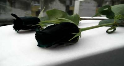 &Tau;&eta;&nu; &Kappa;&upsilon;&rho;&iota;&alpha;&kappa;ή &tau;&omicron; &tau;&epsilon;&lambda;&epsilon;&upsilon;&tau;&alpha;ί&omicron; &alpha;&nu;&tau;ί&omicron; &sigma;&tau;&omicron;&nu; &Mu;&pi;ά&mu;&pi;&eta; &Phi;&alpha;&tau;ί&sigma;&eta;