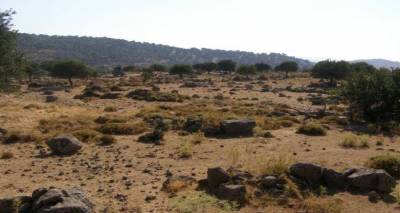 Αλλάζουν όλα στη διαχείριση των βοσκοτόπων | Τρέχουν για τις διαχειριστικές μελέτες οι Περιφέρειες