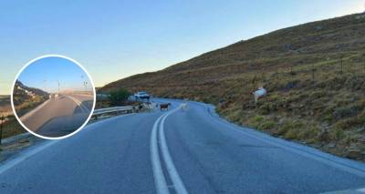 Πρόβατα και κατσίκια… στη μέση του δρόμου! Κίνδυνος ατυχήματος στον άξονα Σαρδές – Κορνό