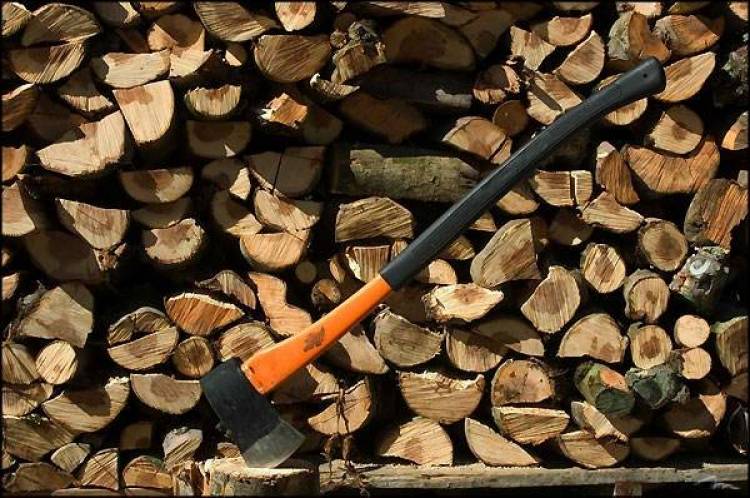 Το πετρέλαιο « φούντωσε» την παράνομη υλοτόμηση στη Λήμνο | Επιστολή Βαρελτζή