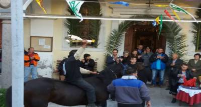 Ιπποδρομίες στο Κοντοπούλι προς τιμήν του Αγίου Δημητρίου (photos)