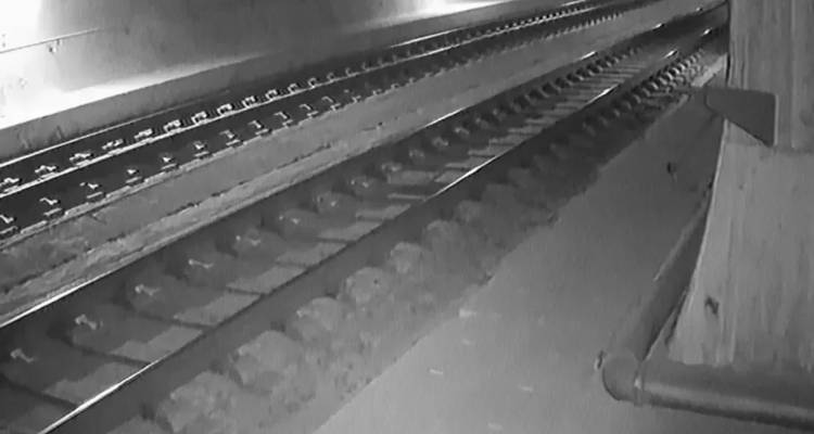 &Mu;&epsilon;&tau;ά &tau;&eta; &Gamma;ά&nu;&delta;&eta; &kappa;&alpha;&iota; &tau;&omicron; &pi;&alpha;&nu;&epsilon;&pi;&iota;&sigma;&tau;ή&mu;&iota;&omicron; &tau;&eta;&sigmaf; &Pi;ί&zeta;&alpha;&sigmaf; &alpha;&delta;&epsilon;&iota;ά&zeta;&epsilon;&iota; &tau;&omicron; &pi;ό&rho;&iota;&sigma;&mu;&alpha; &Epsilon;&Omicron;&Delta;&Alpha;&Sigma;&Alpha;&Alpha;&Mu; &gamma;&iota;&alpha; &tau;&eta;&nu; &pi;&upsilon;&rho;ό&sigma;&phi;&alpha;&iota;&rho;&alpha;