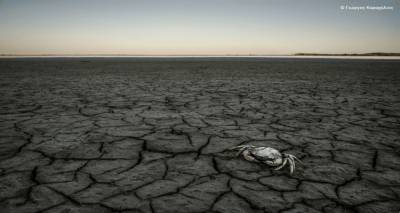&Tau;&iota;&mu;&eta;&tau;&iota;&kappa;ή &delta;&iota;ά&kappa;&rho;&iota;&sigma;&eta; &gamma;&iota;&alpha; &phi;&omega;&tau;&omicron;&gamma;&rho;&alpha;&phi;ί&alpha; &alpha;&pi;ό &tau;&eta;&nu; &Alpha;&lambda;&upsilon;&kappa;ή &tau;&eta;&sigmaf; &Lambda;ή&mu;&nu;&omicron;&upsilon;