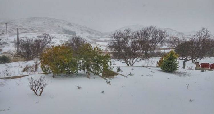 &Delta;ή&mu;&omicron;&sigmaf; &Lambda;ή&mu;&nu;&omicron;&upsilon;: &Omicron;&delta;&eta;&gamma;ί&epsilon;&sigmaf; &pi;&rho;&omicron;&sigma;&tau;&alpha;&sigma;ί&alpha;&sigmaf; &alpha;&pi;ό &tau;&eta;&nu; &kappa;&alpha;&kappa;&omicron;&kappa;&alpha;&iota;&rho;ί&alpha; | &laquo;&Nu;&alpha; &alpha;&pi;&omicron;&phi;&epsilon;ύ&gamma;&omicron;&nu;&tau;&alpha;&iota; &omicron;&iota; &mu;&epsilon;&tau;&alpha;&kappa;&iota;&nu;ή&sigma;&epsilon;&iota;&sigmaf;&raquo;
