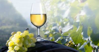 &Tau;&omicron; &Mu;&omicron;&sigma;&chi;ά&tau;&omicron; &Alpha;&lambda;&epsilon;&xi;&alpha;&nu;&delta;&rho;&epsilon;ί&alpha;&sigmaf; &kappa;&alpha;&iota; &omicron;&iota; ά&lambda;&lambda;&epsilon;&sigmaf; &kappa;ύ&rho;&iota;&epsilon;&sigmaf; &lambda;&epsilon;&upsilon;&kappa;έ&sigmaf; &pi;&omicron;&iota;&kappa;&iota;&lambda;ί&epsilon;&sigmaf; &kappa;&rho;&alpha;&sigma;&iota;&omicron;ύ &tau;&omega;&nu; &Alpha;&iota;&gamma;&alpha;&iota;&omicron;&pi;&epsilon;&lambda;&alpha;&gamma;ί&tau;&iota;&kappa;&omega;&nu; &nu;&eta;&sigma;&iota;ώ&nu;