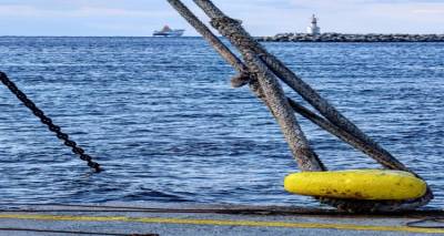 &Phi;ώ&tau;&omicron;: &Theta;&alpha;&nu;ά&sigma;&eta;&sigmaf; &Lambda;&alpha;&mu;&pi;&rho;&omicron;ύ&delta;&eta;&sigmaf; 
