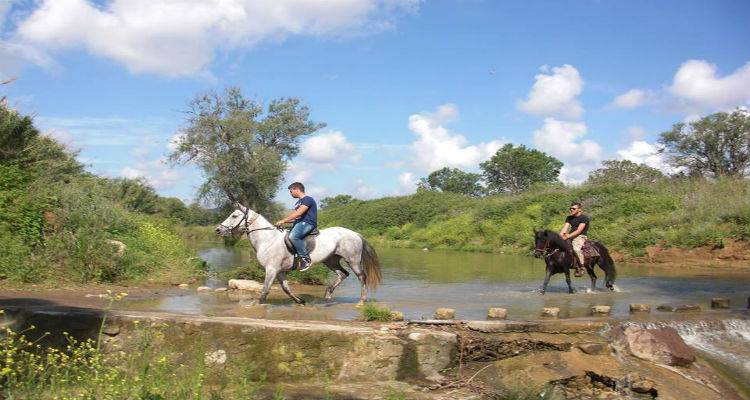 &Iota;&pi;&pi;&omicron;&delta;&rho;&omicron;&mu;ί&epsilon;&sigmaf; &sigma;&tau;&omicron; &Alpha;&gamma;&rho;ό&kappa;&tau;&eta;&mu;&alpha; &laquo;&Mu;&eta;&tau;&rho;ό&pi;&omicron;&lambda;&eta;&raquo; &sigma;&tau;&omicron; &Kappa;&alpha;&rho;&pi;ά&sigma;&iota;