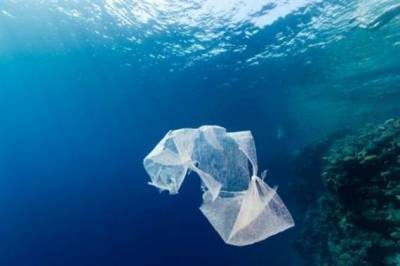 &Tau;έ&lambda;&omicron;&sigmaf; &sigma;&tau;&iota;&sigmaf; &pi;&lambda;&alpha;&sigma;&tau;&iota;&kappa;έ&sigmaf; &sigma;&alpha;&kappa;&omicron;ύ&lambda;&epsilon;&sigmaf; | &Iota;&sigma;&tau;&omicron;&rho;&iota;&kappa;ή &sigma;&upsilon;&mu;&phi;&omega;&nu;ί&alpha; &sigma;&tau;&eta;&nu; &Epsilon;&Epsilon;