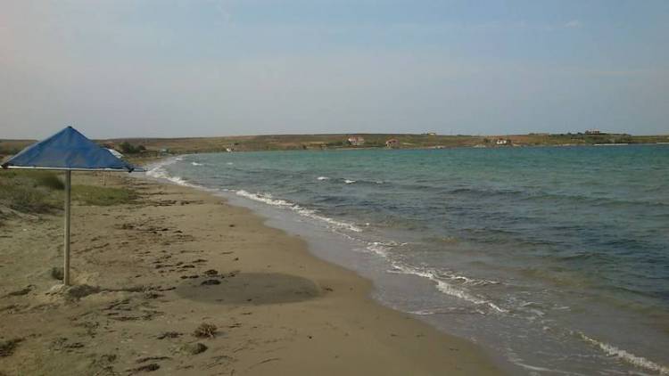 Εθελοντικός καθαρισμός της παραλίας Κότσινα