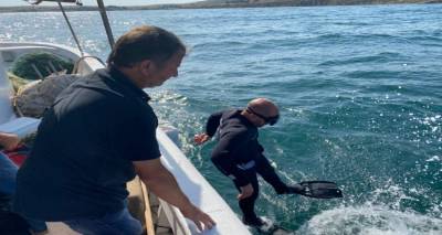 &Lambda;ή&mu;&omicron;&sigmaf; &Lambda;ή&mu;&nu;&omicron;&upsilon;: &Kappa;&alpha;&mu;ί&alpha; &alpha;&nu;&eta;&sigma;&upsilon;&chi;ί&alpha; &gamma;&iota;&alpha; &tau;&omicron;&upsilon;&sigmaf; &kappa;&omicron;&lambda;&upsilon;&mu;&beta;&eta;&tau;έ&sigmaf;