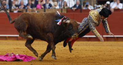 &Beta;ί&nu;&tau;&epsilon;&omicron;: &Tau;&alpha;ύ&rho;&omicron;&sigmaf; &kappa;ά&rho;&phi;&omega;&sigma;&epsilon; &sigma;&tau;&alpha; &omicron;&pi;ί&sigma;&theta;&iota;&alpha; &tau;&omicron;&nu; &laquo;&beta;&alpha;&sigma;&iota;&lambda;&iota;ά &tau;&omega;&nu; &tau;&alpha;&upsilon;&rho;&omicron;&mu;&alpha;&chi;&iota;ώ&nu;&raquo; &tau;&eta;&sigmaf; &Iota;&sigma;&pi;&alpha;&nu;ί&alpha;&sigmaf; -&Omicron; &phi;&rho;&iota;&chi;&tau;ό&sigmaf; &tau;&rho;&alpha;&upsilon;&mu;&alpha;&tau;&iota;&sigma;&mu;ό&sigmaf;