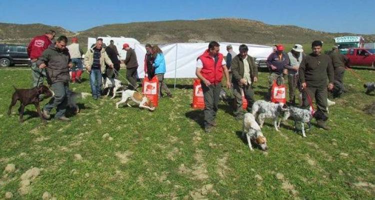 Αγώνες σε νησιωτική πέρδικα από τον Κυνοφιλικό Όμιλο Λήμνου