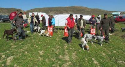 Αγώνες σε νησιωτική πέρδικα από τον Κυνοφιλικό Όμιλο Λήμνου