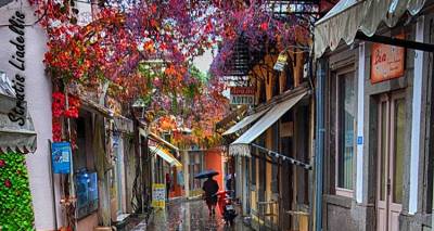 &Phi;&omega;&tau;ό: &Sigma;&tau;&rho;&alpha;&tau;ή&sigmaf; &Lambda;&iota;&alpha;&delta;έ&lambda;&lambda;&eta;&sigmaf;