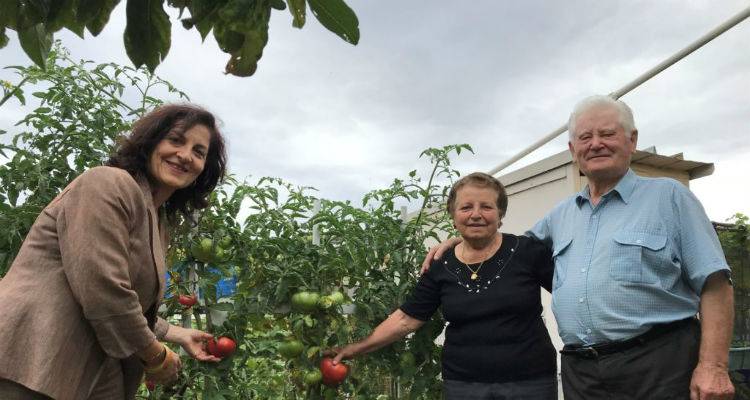 &Omicron; &kappa;ή&pi;&omicron;&sigmaf; &tau;&omicron;&upsilon; 84&chi;&rho;&omicron;&nu;&omicron;&upsilon; &Kappa;&omicron;&sigma;&mu;ά &Kappa;&alpha;&rho;&alpha;&mu;&alpha;&nu;&lambda;ή &alpha;&pi;ό &tau;&iota;&sigmaf; &Sigma;&alpha;&rho;&delta;έ&sigmaf; &pi;ά&epsilon;&iota; &gamma;&iota;&alpha; έ&nu;&alpha; &alpha;&kappa;ό&mu;&alpha; &beta;&rho;&alpha;&beta;&epsilon;ί&omicron;