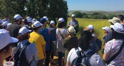 Ανοιξιάτικος περίπατος στο δάσος βελανιδιών της Λήμνου