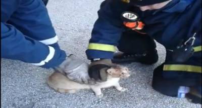 Γκρέμισαν τοίχο στο Κοντοπουλι για τον απεγκλωβισμό γάτας